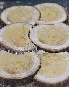 367K views · 1K reactions | DIY Wood Slice Cutting Board | DIY & Crafts | Facebook