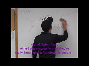 Alpha 2 Receptor - High Def