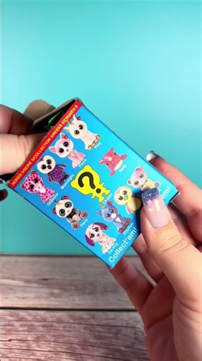 TY Mini Boos Collectibles Hand painted Blind Box Unboxing Series 5