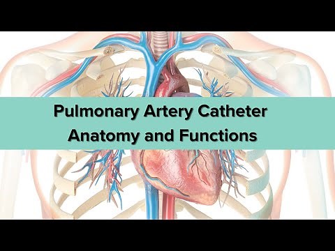 Pulmonary Artery Catheters for Critical Care Nurses