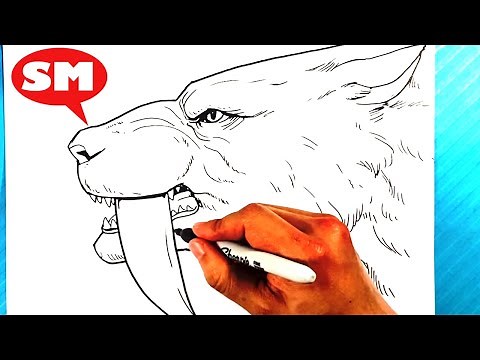 EASY How to Draw SABERTOOTH TIGER
