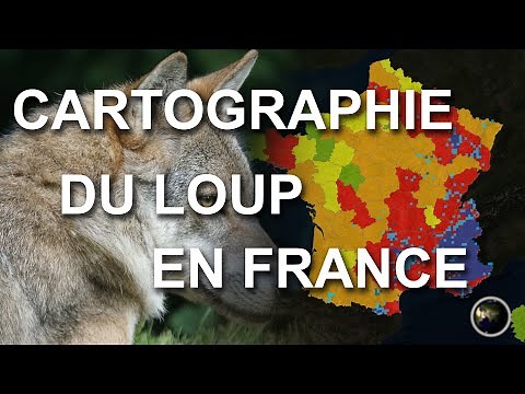 MAPPING THE WOLF IN FRANCE