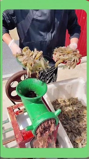 Meat Grinding Machine #foodprocessing #machine