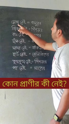 568K views · 3.6K reactions | কোন প্রাণীর কী নেই? . #viralshorts #education #knowledge #class #students #follower #animals #information #trendingreelsvideo | Tonmoy Alamgir | Facebook