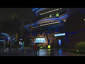 Update: 2 dead, 1 injured in shooting at Downtown Aquarium, Houston police say