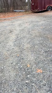 7K views · 77 reactions | Fix one thing & another one breaks. I promise you if you want to do something that will humble you real quick I will give you two tips. #1 drive an old truck. #2 work with horses.. #oldtrucks #workinghorses #humor #humbling | Rust Ridge Ranch L.L.C | Facebook