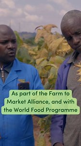 In rural Tanzania, many farmers don't have local, affordable access to the tools they need to thrive. Find out how Farm Africa, as part of the Farm to Market Alliance project with the World Food Programme, is working with Tanzanian farmers to change this ⬇️ www.farmafrica.org/support-us/winter-appeal-2024/ #farmtomarketalliance #newreels #tanzania | Farm Africa | Facebook