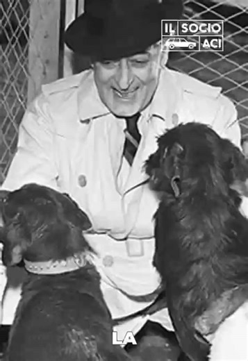 Il cane è meglio dell'uomo quando Totò salvò centinaia di cani dalla soppressione #totò #ilsocioaci #ivantamburrini #cani #animali
