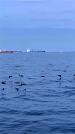 46 reactions · 11 shares | Feel the thrill of witnessing one of...