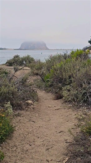 Morro Bay Weather Today 🌫️ Foggy Marina Walk + Calm Bay