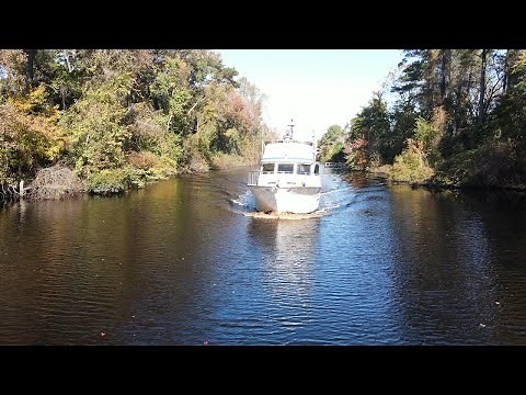 Boat Trip - Day 10 The Great Dismal Swamp