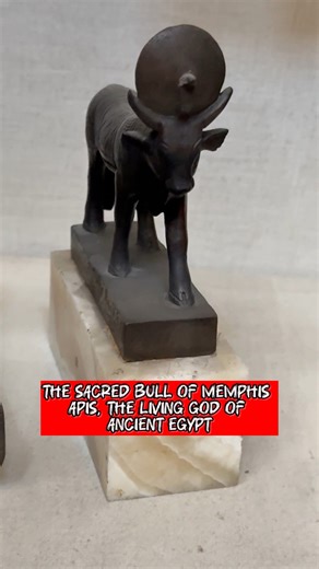 📍 The Sacred Bull of Memphis – Apis, the Living God of Ancient Egypt In the heart of ancient Memphis, one animal stood above all others — the Apis bull, the sacred symbol of strength, fertility, and divine power. To the ancient Egyptians, Apis wasn’t just a bull… he was a living god — the earthly form of Ptah, the great creator of Memphis. These bronze statues, dating back to the Late Period of Egypt, show the bull standing proudly with the solar disk and uraeus on his head — symbols of the sun