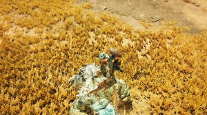 The Sword & Shield has seen a range of improvements, starting with the return of Rising Slash while Guarding! There's also extensive buffs to various attacks, especially normal attacks and Perfect Rush! You'll also feel greater responsiveness across the weapon's move set! Check out the full range of Sword & Shield improvements for your viewing pleasure. #MHWilds #MonsterHunter | Capcom SEA