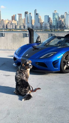 Exploring the Stunning Egg Agera HH with The Stradman