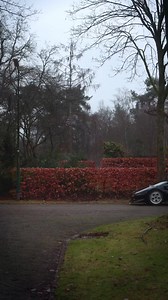 3.6K views | Merry christmas | Viral News Asia | Facebook