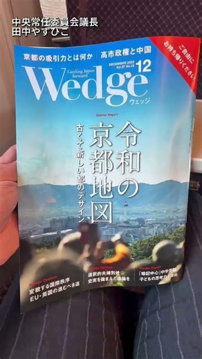 The role of the Chairperson of the Central Standing Committee