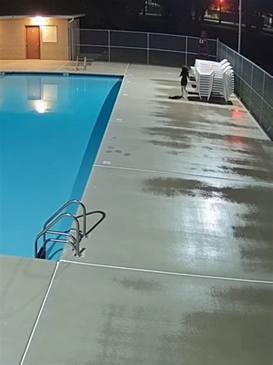 How did a dog walk in… and a woman walk out? 😱😰 Hashtags: #SurveillanceStyle #Unexplained #CaughtOnCamera #UrbanMystery #ShortFilm