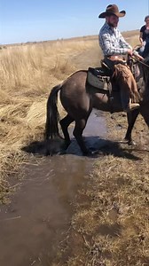 485K views · 13K reactions | Crossing water can be a great way to...
