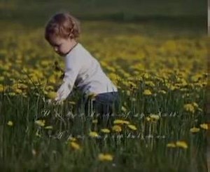 19 reactions · 12 shares | Ziua Internațională a Femeii o înțelege...