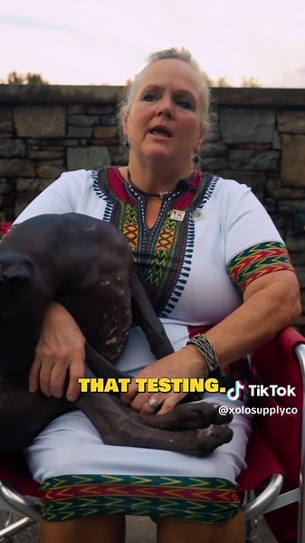 Understanding Ethical Breeding Programs for Xoloitzcuintli