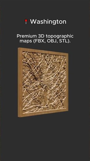 Map of Washington Model 3D Topographic Map 🗺️