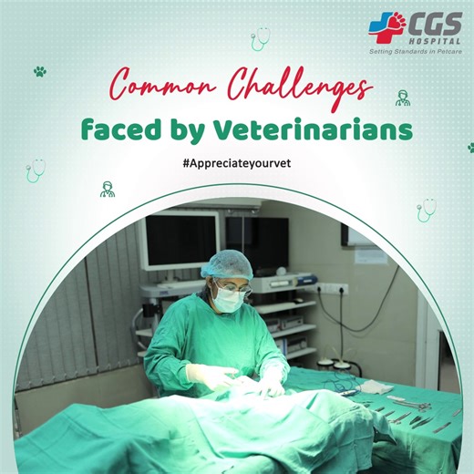 13K views · 48 reactions | Overall, being a veterinarian can be a...