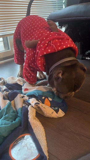 Fred really does want the DNA test. Like now too! | Becca Becc