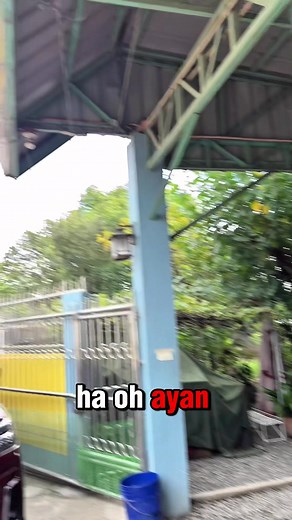 2.5K views · 38 reactions | Sold Vios xle 2024 Basta Rcc Car trading Lowest in the market‼️ Thankyou client  Kung need niyo furniture message lang kayo sa page quality 101% nila mag bibigay sila discount | Rcc Car Trading | Facebook