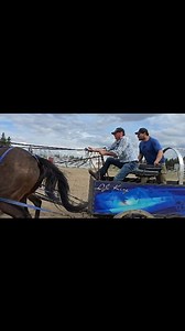 16K views · 250 reactions | Driver Spotlight: Jonathan Blatz Presented By: Paradise Hill Ranch & Western Wear We took a ride with Jonny Blaze as he tested out a new wheeler in a four up. No fast blow today, just some nice driving to see how he likes the wagon. Jon will be returning to the track in the 2025 season. . . . #race #horse #western #sports #chuckwagons #rodeo #training #CPCA | Canadian Professional Chuckwagon Association (CPCA) | Facebook