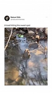 859K views · 26K reactions | He got the right vibe  | We Are Nature | Facebook