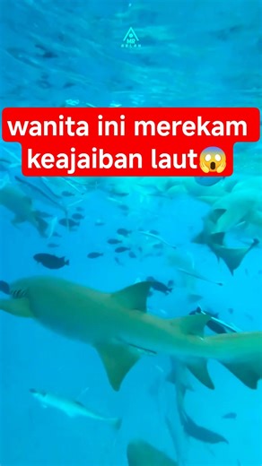 This woman recorded the magic of the sea😱 #uniquefacts #shorts #viral #facts #shortvideo #mrarlan