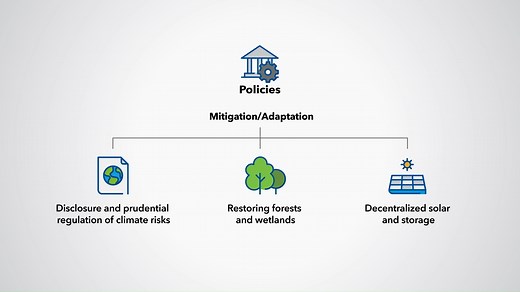 What are the commonalities between mitigation and adaptation policies in climate change❔ Why do we need to adapt to both physical and transition risks in climate change❔ Find out in this overview on building resilience and adaptation ⬇️ | IMF Capacity Development