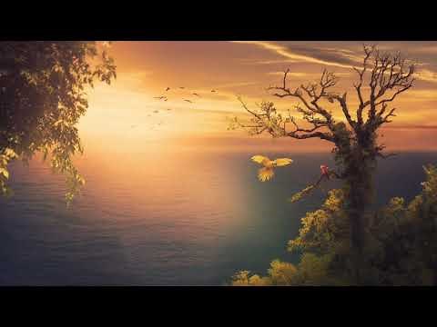 1 órás pihentető alvás zene & óceán hullámai | nyugtató zene, álmatlanság ellen, elalvás