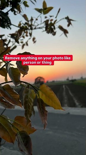“Google Photos’ Latest Features: DSLR Blur, Cinematic Photos & Object Removal!”