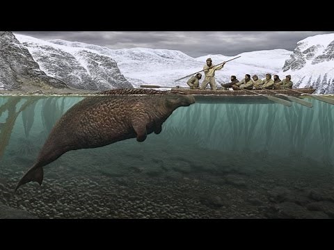 10 Động Vật Bị Tuyệt Chủng Do Sự Săn Bắt Của Con Người