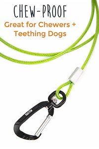 6-Foot Chew-Proof Cable Leash