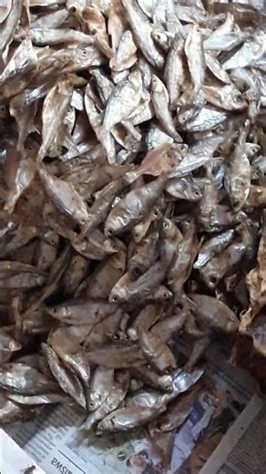 Dry Fish New short vedio small Dry Fish #dryfish
