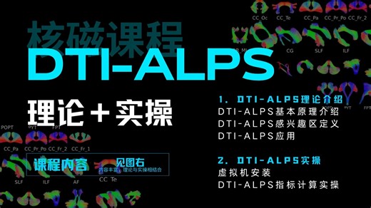 DTI-ALPS理论+实操