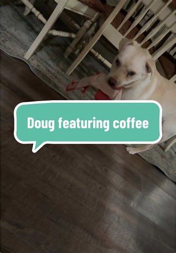 Engaging Coffee Show with Doug: Tips and Tricks