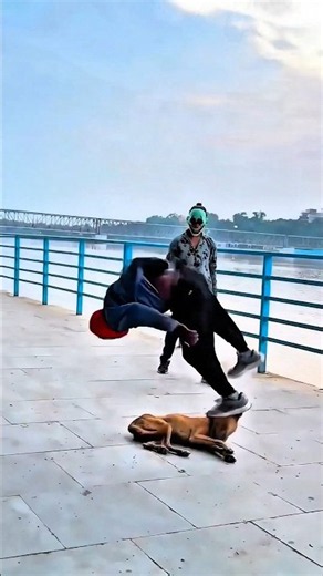 🐶🤸‍♂️ Dog Performs an Amazing Flip!Dogs truly are our best friends ❤️🐕Their loyalty love and playful