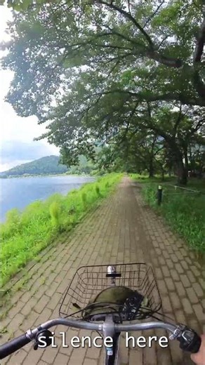 Cycling Along Lake Kawaguchi - The Most Peaceful Road in Japan 🚲 #shorts #japan #fuji