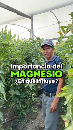 Importancia del Magnesio en la Agricultura