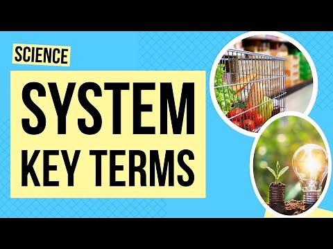 Displacement, Force, Work, Energy, and Efficiency | Science Lesson