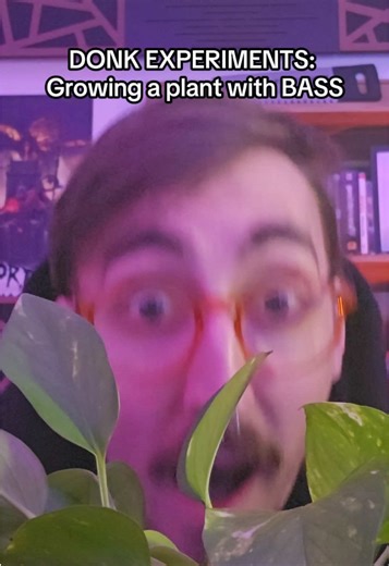 Bass Distortion in Harder Styles Music