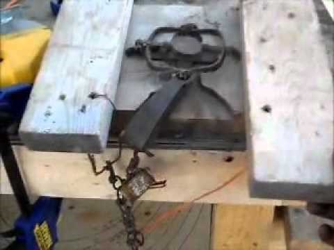 Muskrat Float Trapping