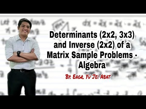 Determinants (2x2, 3x3) and Inverse (2x2) of a Matrix Sample Problems - Algebra