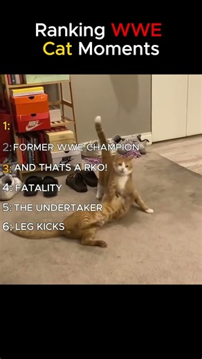 DoNT ChecK ThE SoUnd #funny #dontcheckthesound #memes #foryou #prank #duet #funnymoments #comedy