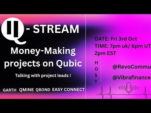 Money-Making Projects on QUBIC