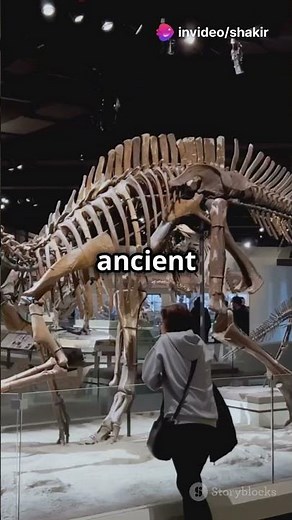 Did Dragons Ever Exist? 🐉