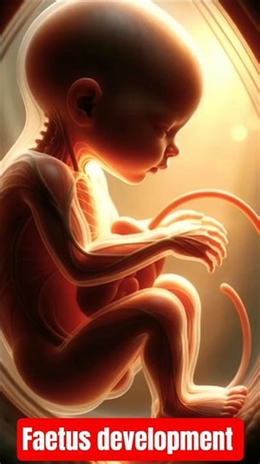 The Miracle of Life: 9 Months in 60 Seconds#science #shorts